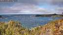 ./images/calvert/foggy-cove/20260214/foggy-cove20260214_114002M.jpg