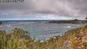 ./images/calvert/foggy-cove/20260214/foggy-cove20260214_122001M.jpg