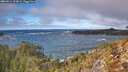 ./images/calvert/foggy-cove/20260214/foggy-cove20260214_123001M.jpg