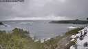 ./images/calvert/foggy-cove/20260216/foggy-cove20260216_130501M.jpg