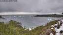 ./images/calvert/foggy-cove/20260216/foggy-cove20260216_155001M.jpg