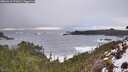 ./images/calvert/foggy-cove/20260216/foggy-cove20260216_171001M.jpg