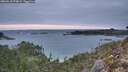 ./images/calvert/foggy-cove/20260218/foggy-cove20260218_074002M.jpg