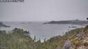 ./images/calvert/foggy-cove/20260220/foggy-cove20260220_083001M.jpg