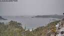 ./images/calvert/foggy-cove/20260220/foggy-cove20260220_094001M.jpg