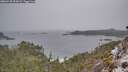 ./images/calvert/foggy-cove/20260220/foggy-cove20260220_094501M.jpg