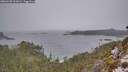 ./images/calvert/foggy-cove/20260220/foggy-cove20260220_101001M.jpg