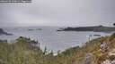./images/calvert/foggy-cove/20260220/foggy-cove20260220_103001M.jpg
