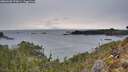 ./images/calvert/foggy-cove/20260220/foggy-cove20260220_172001M.jpg