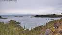 ./images/calvert/foggy-cove/20260221/foggy-cove20260221_084501M.jpg