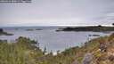 ./images/calvert/foggy-cove/20260221/foggy-cove20260221_085002M.jpg