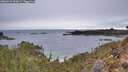 ./images/calvert/foggy-cove/20260221/foggy-cove20260221_090001M.jpg