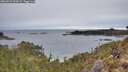 ./images/calvert/foggy-cove/20260221/foggy-cove20260221_094501M.jpg