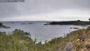 ./images/calvert/foggy-cove/20260221/foggy-cove20260221_102001M.jpg