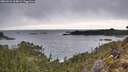 ./images/calvert/foggy-cove/20260221/foggy-cove20260221_104001M.jpg
