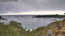 ./images/calvert/foggy-cove/20260221/foggy-cove20260221_105001M.jpg