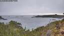 ./images/calvert/foggy-cove/20260221/foggy-cove20260221_112002M.jpg