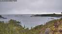 ./images/calvert/foggy-cove/20260221/foggy-cove20260221_112501M.jpg