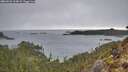 ./images/calvert/foggy-cove/20260221/foggy-cove20260221_113001M.jpg