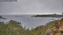 ./images/calvert/foggy-cove/20260221/foggy-cove20260221_114501M.jpg