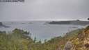 ./images/calvert/foggy-cove/20260221/foggy-cove20260221_115001M.jpg