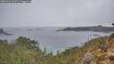 ./images/calvert/foggy-cove/20260221/foggy-cove20260221_115501M.jpg
