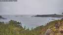 ./images/calvert/foggy-cove/20260221/foggy-cove20260221_120001M.jpg