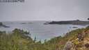 ./images/calvert/foggy-cove/20260221/foggy-cove20260221_120502M.jpg
