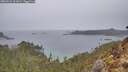 ./images/calvert/foggy-cove/20260221/foggy-cove20260221_121001M.jpg