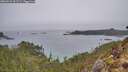 ./images/calvert/foggy-cove/20260221/foggy-cove20260221_121501M.jpg