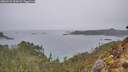 ./images/calvert/foggy-cove/20260221/foggy-cove20260221_123001M.jpg