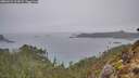 ./images/calvert/foggy-cove/20260221/foggy-cove20260221_124501M.jpg