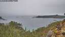 ./images/calvert/foggy-cove/20260221/foggy-cove20260221_135001M.jpg