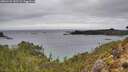 ./images/calvert/foggy-cove/20260221/foggy-cove20260221_143502M.jpg