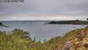 ./images/calvert/foggy-cove/20260221/foggy-cove20260221_145501M.jpg