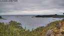 ./images/calvert/foggy-cove/20260221/foggy-cove20260221_155002M.jpg
