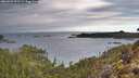 ./images/calvert/foggy-cove/20260222/foggy-cove20260222_091501M.jpg