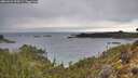./images/calvert/foggy-cove/20260222/foggy-cove20260222_094501M.jpg