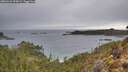 ./images/calvert/foggy-cove/20260222/foggy-cove20260222_095002M.jpg
