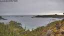 ./images/calvert/foggy-cove/20260222/foggy-cove20260222_100501M.jpg