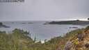 ./images/calvert/foggy-cove/20260222/foggy-cove20260222_101002M.jpg