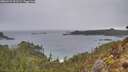 ./images/calvert/foggy-cove/20260222/foggy-cove20260222_101502M.jpg
