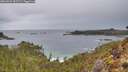 ./images/calvert/foggy-cove/20260222/foggy-cove20260222_102501M.jpg