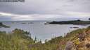 ./images/calvert/foggy-cove/20260222/foggy-cove20260222_104501M.jpg