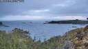 ./images/calvert/foggy-cove/20260223/foggy-cove20260223_074001M.jpg
