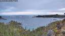 ./images/calvert/foggy-cove/20260223/foggy-cove20260223_074501M.jpg