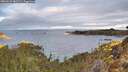 ./images/calvert/foggy-cove/20260223/foggy-cove20260223_082501M.jpg