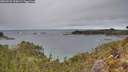 ./images/calvert/foggy-cove/20260223/foggy-cove20260223_135002M.jpg