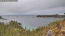 ./images/calvert/foggy-cove/20260223/foggy-cove20260223_141002M.jpg