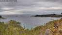 ./images/calvert/foggy-cove/20260223/foggy-cove20260223_153002M.jpg